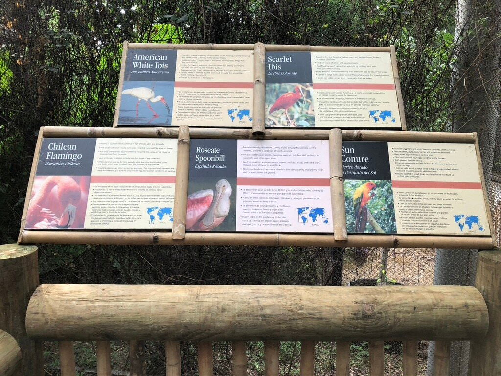 Dickerson Park Zoo-斯普林菲尔德必去景点