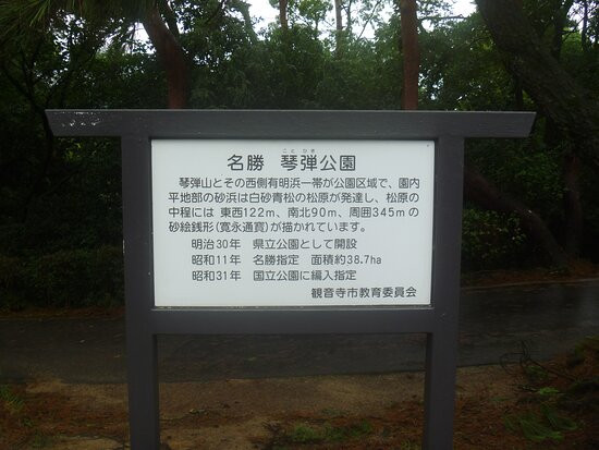Kotohiki Park景点图片