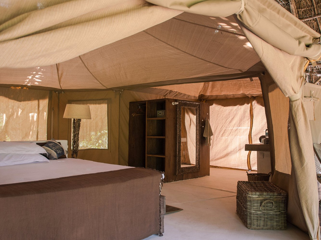 Selous Wilderness Camp