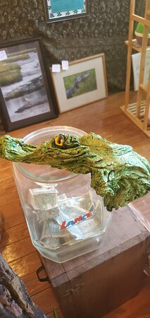 Turtle Trail Art Gallery景点图片