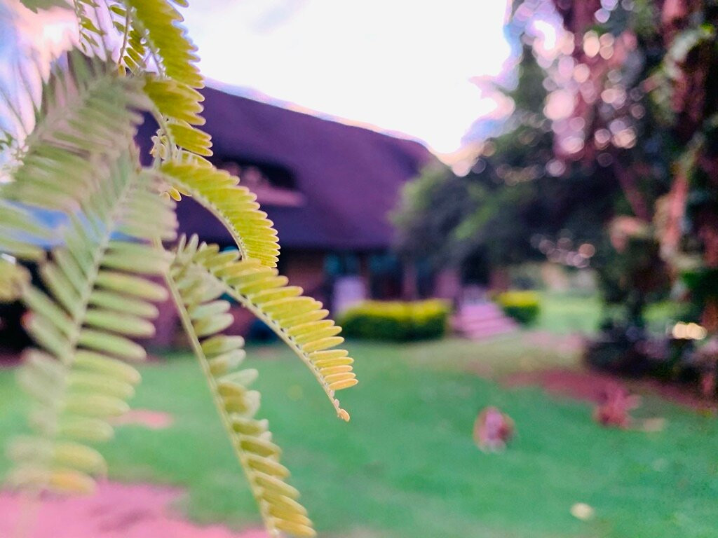 Brits酒店住宿-Farm Vibes Guesthouse