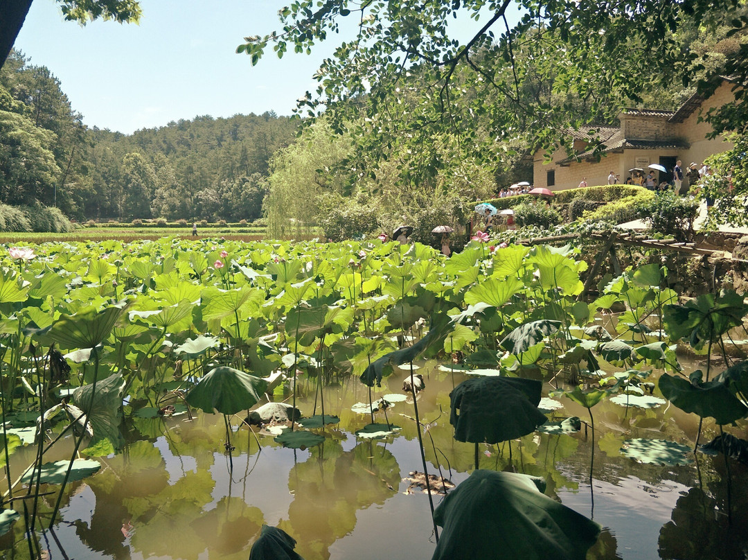 韶山旅游攻略图片