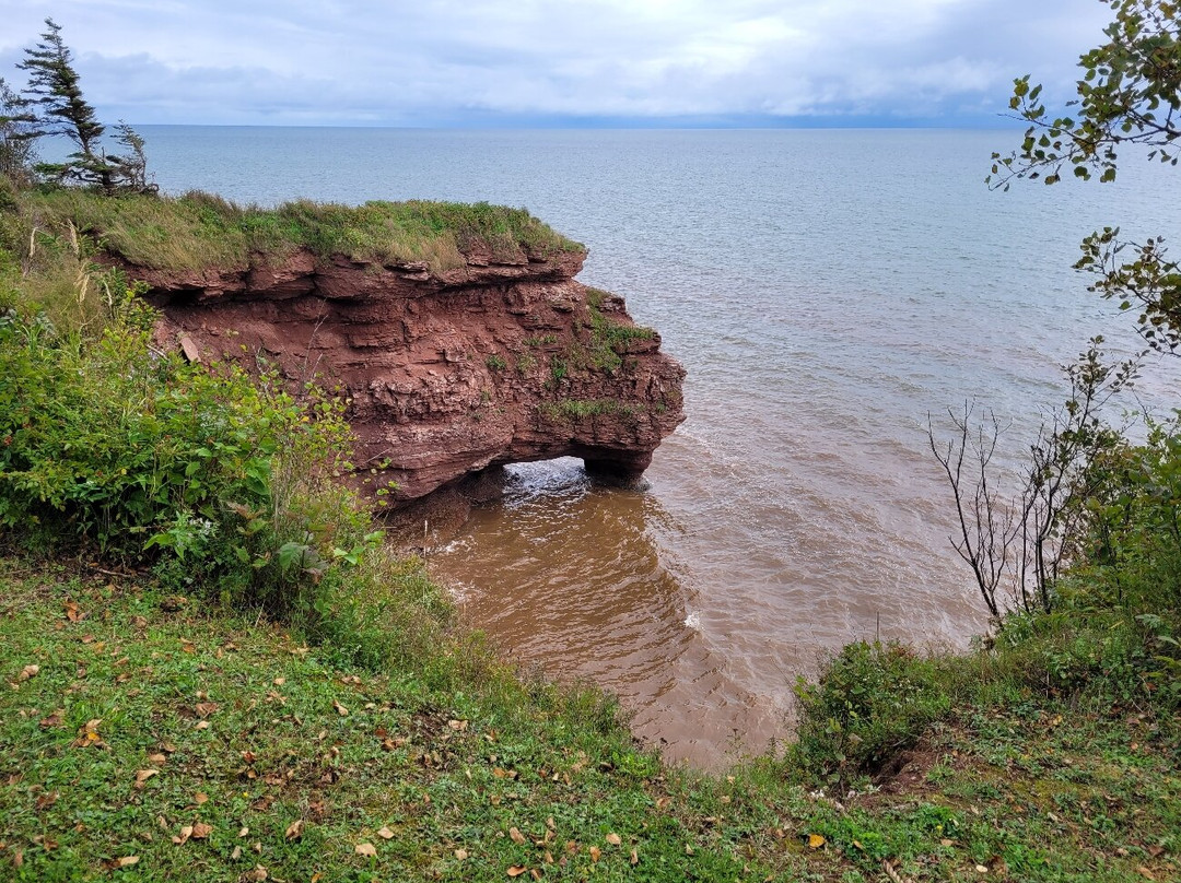 Sentier pédestre de la Pointe-aux-Corbeaux景点图片