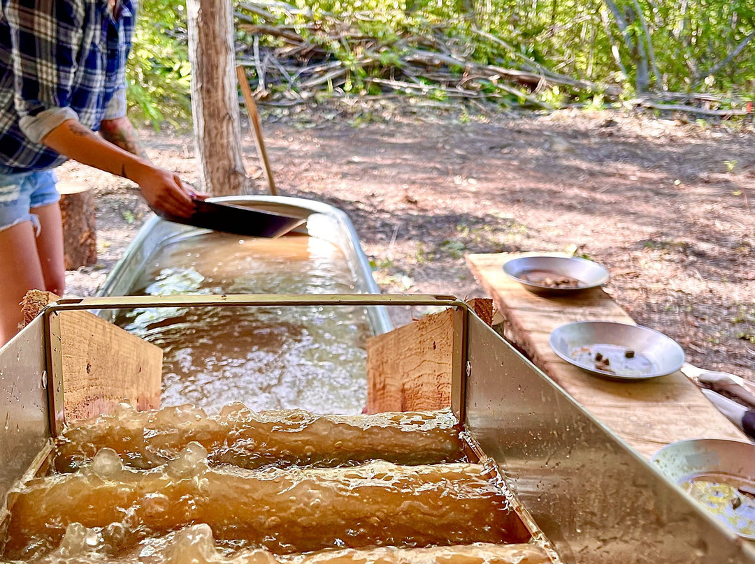 Williams Premier Tours, LLC-费尔班克斯必去景点