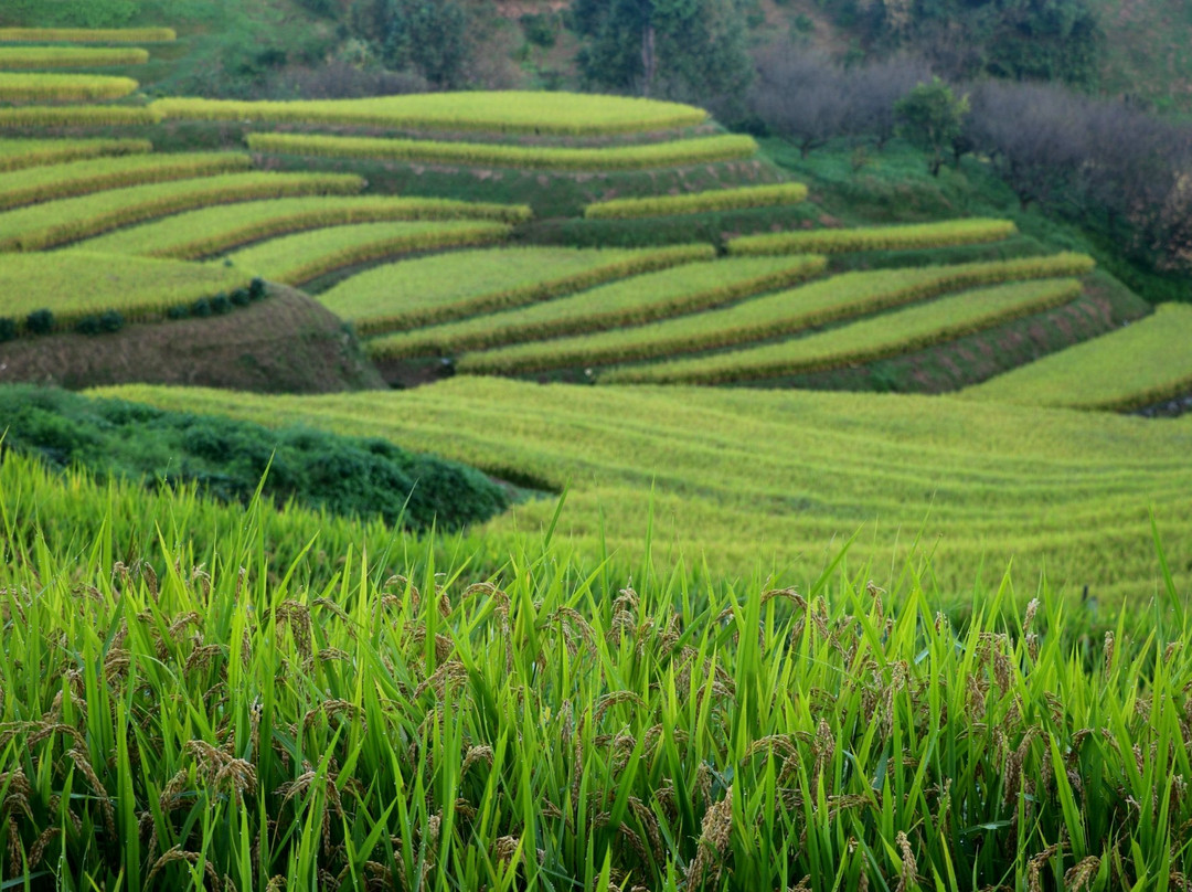 Shimoakasaka Tanada-千早赤阪村必去景点