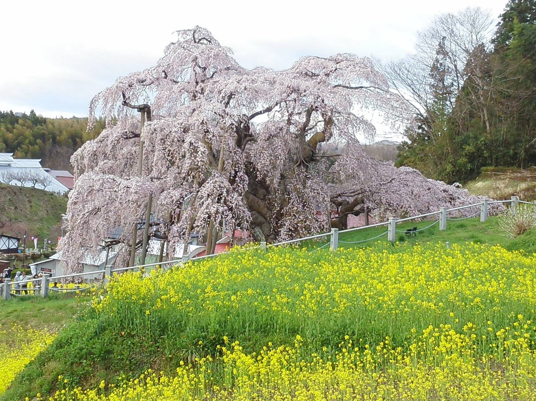 田村郡 旅游攻略图片