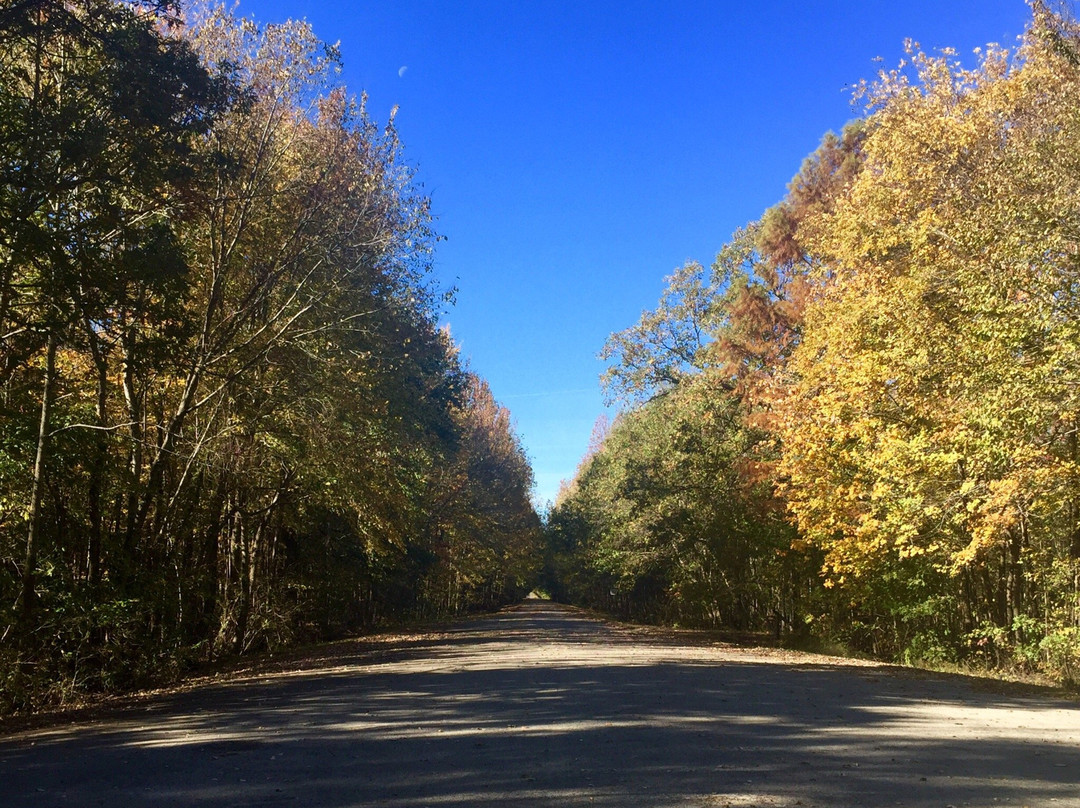 Brinkley旅游攻略图片