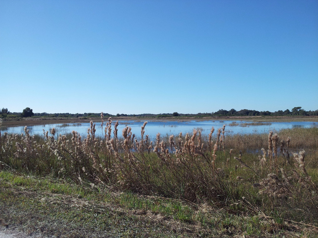 Land O Lakes旅游攻略图片