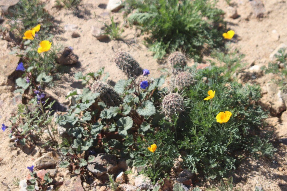 El Rio Preserve-马拉纳必去景点