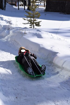 怀尔德霍斯酒店主图