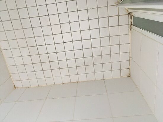 Alloggio Tudor Hamilton主图