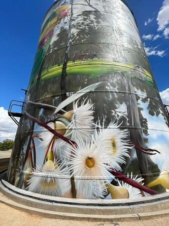 Picola Silo Art-Picola必去景点