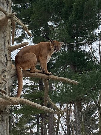 Elmwood Park Zoo-Norristown必去景点