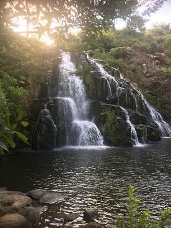 Palm Motel Waihi主图