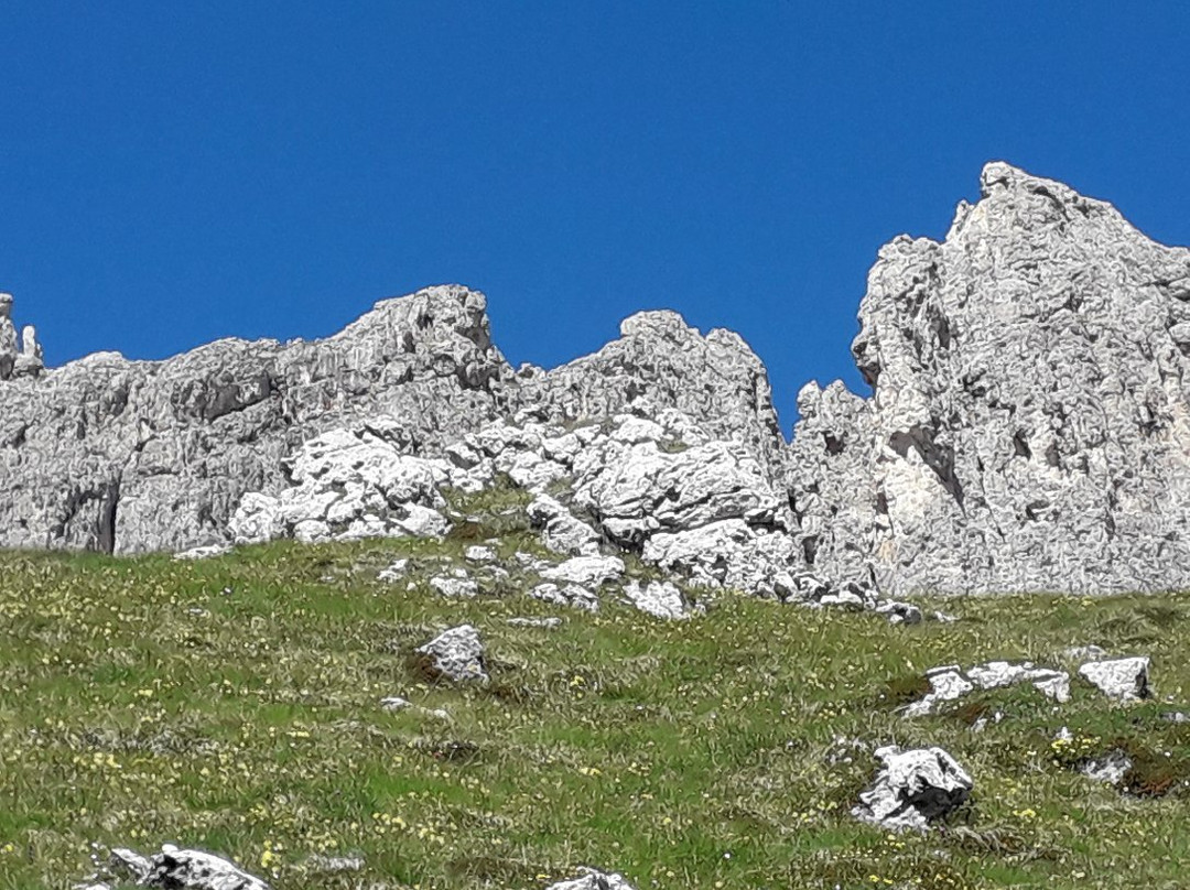 Schlern-Rosengarten / Sciliar-Catinaccio Nature Park景点图片