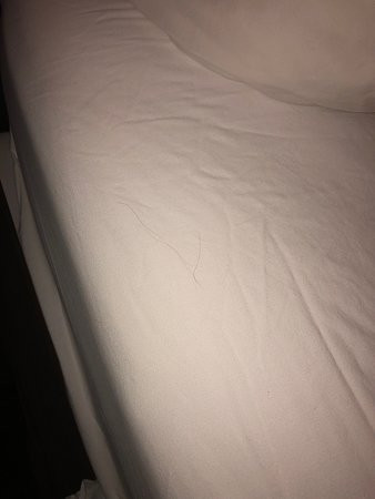 美国长住酒店-芝加哥-奥黑尔-全州竞技场主图