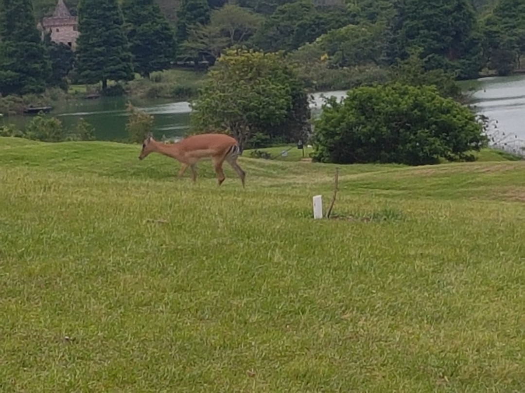 Camelot Country Club-Hillcrest必去景点