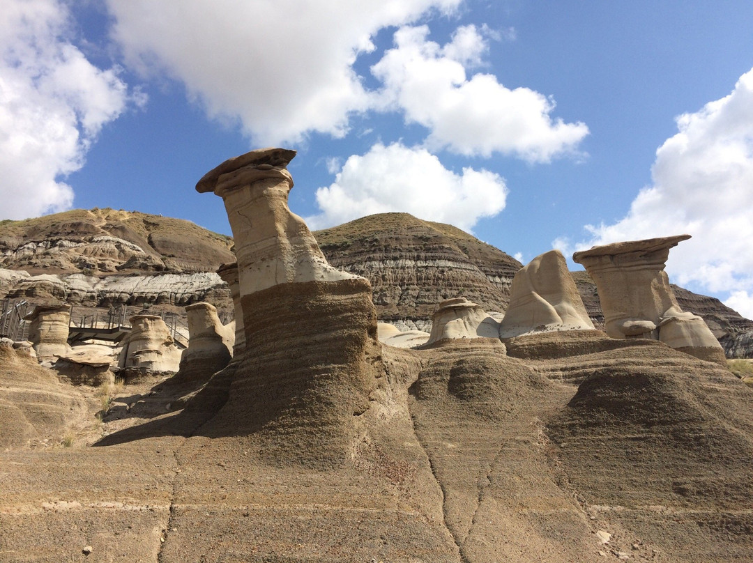 德兰赫勒旅游攻略图片