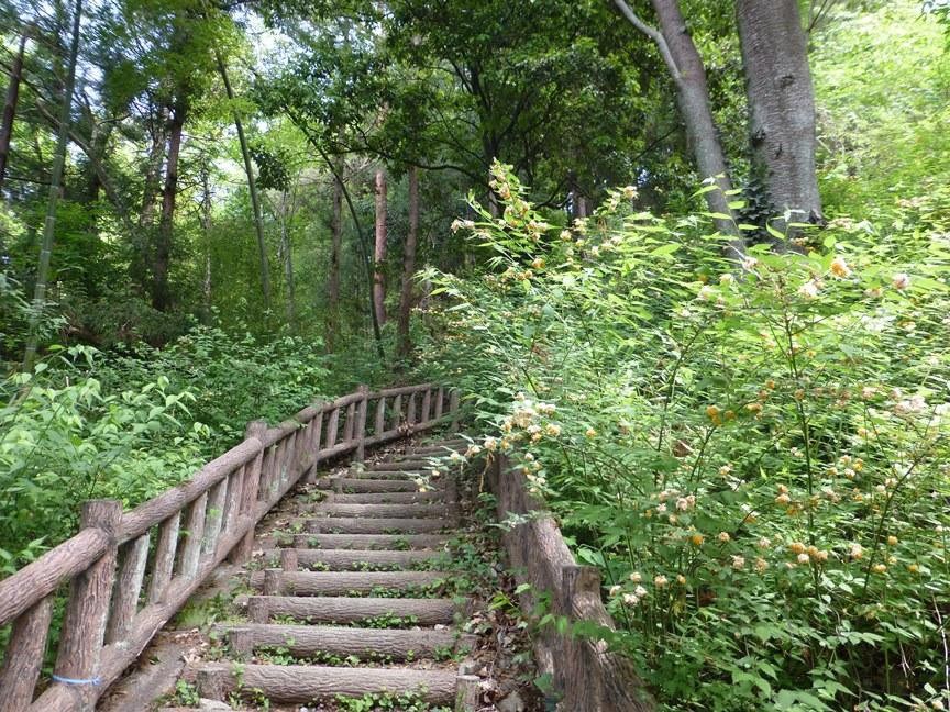 Yamabukino Sato Historic Park