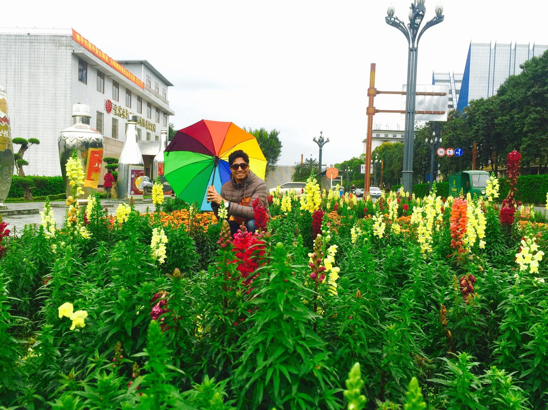 五粮液酒史博物馆景点图片