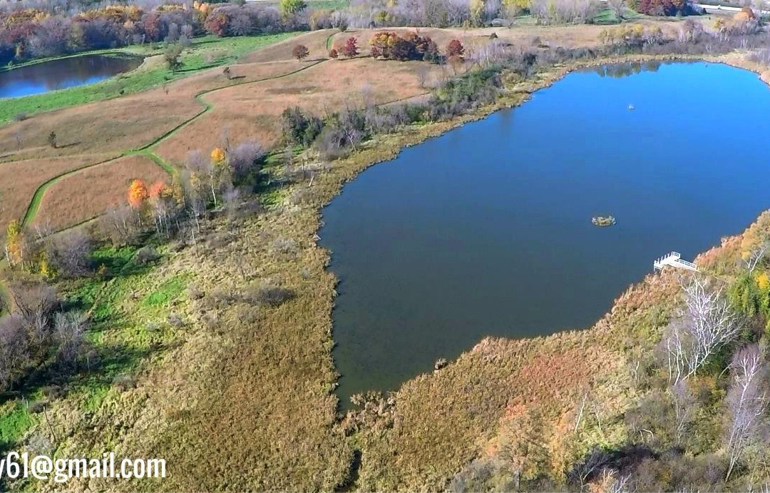 Tamarack Nature Center-White Bear Lake必去景点