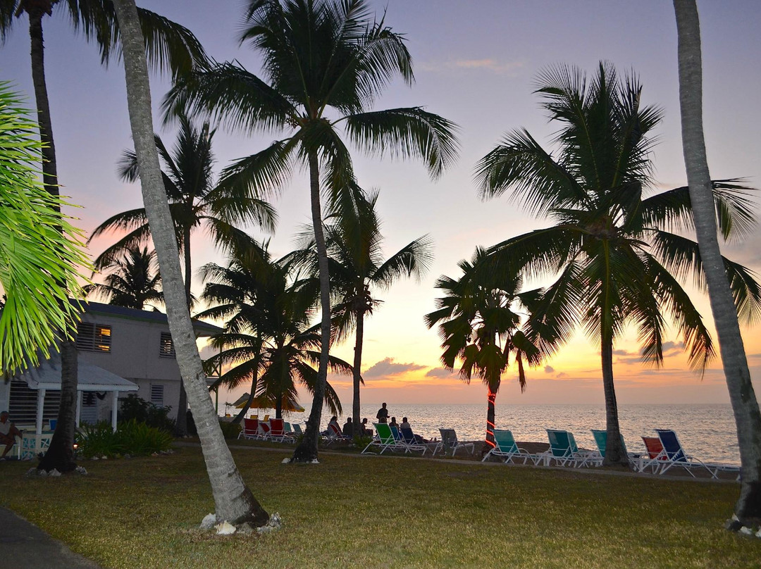 Frederiksted酒店住宿-Cottages By The Sea