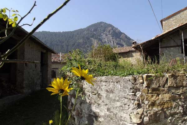 Agriturismo La Ginestra