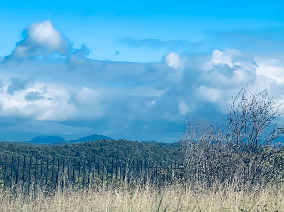 Woodford旅游攻略图片