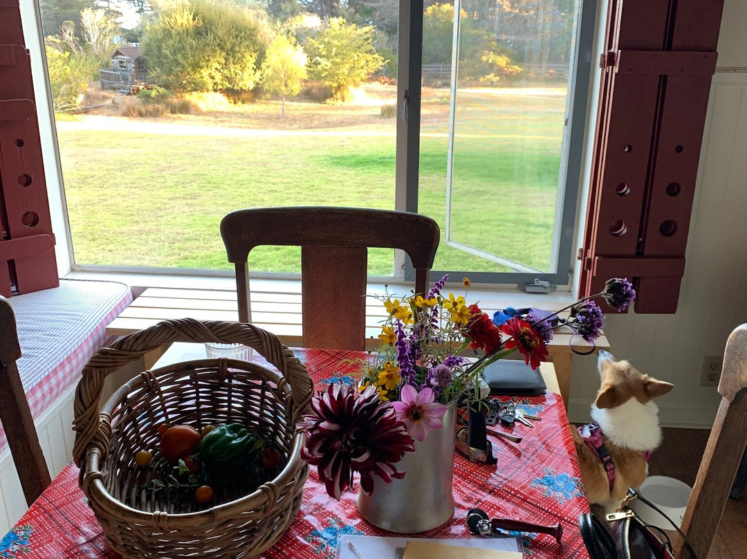 Anchor Bay旅游攻略图片