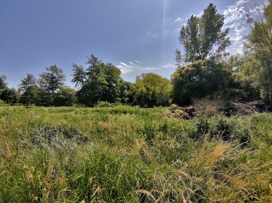 Marais Des Ragouillis-Boivre-la-Vallee必去景点