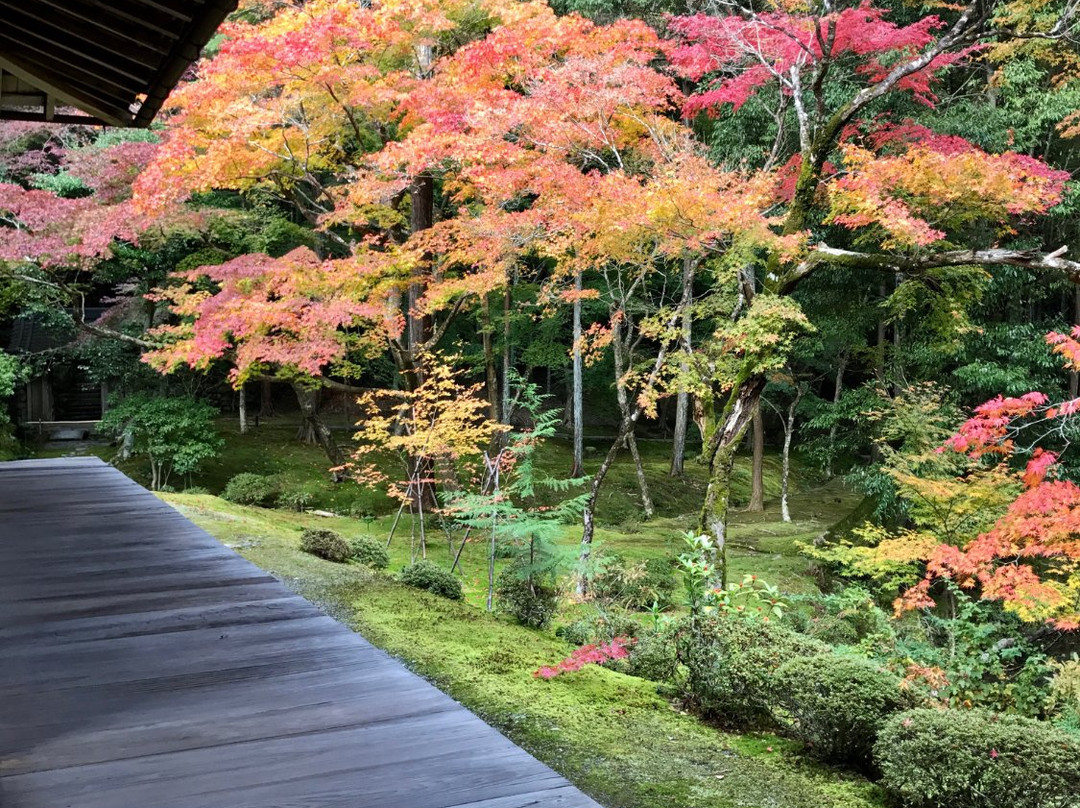 Saiho-ji Temple-精华町必去景点