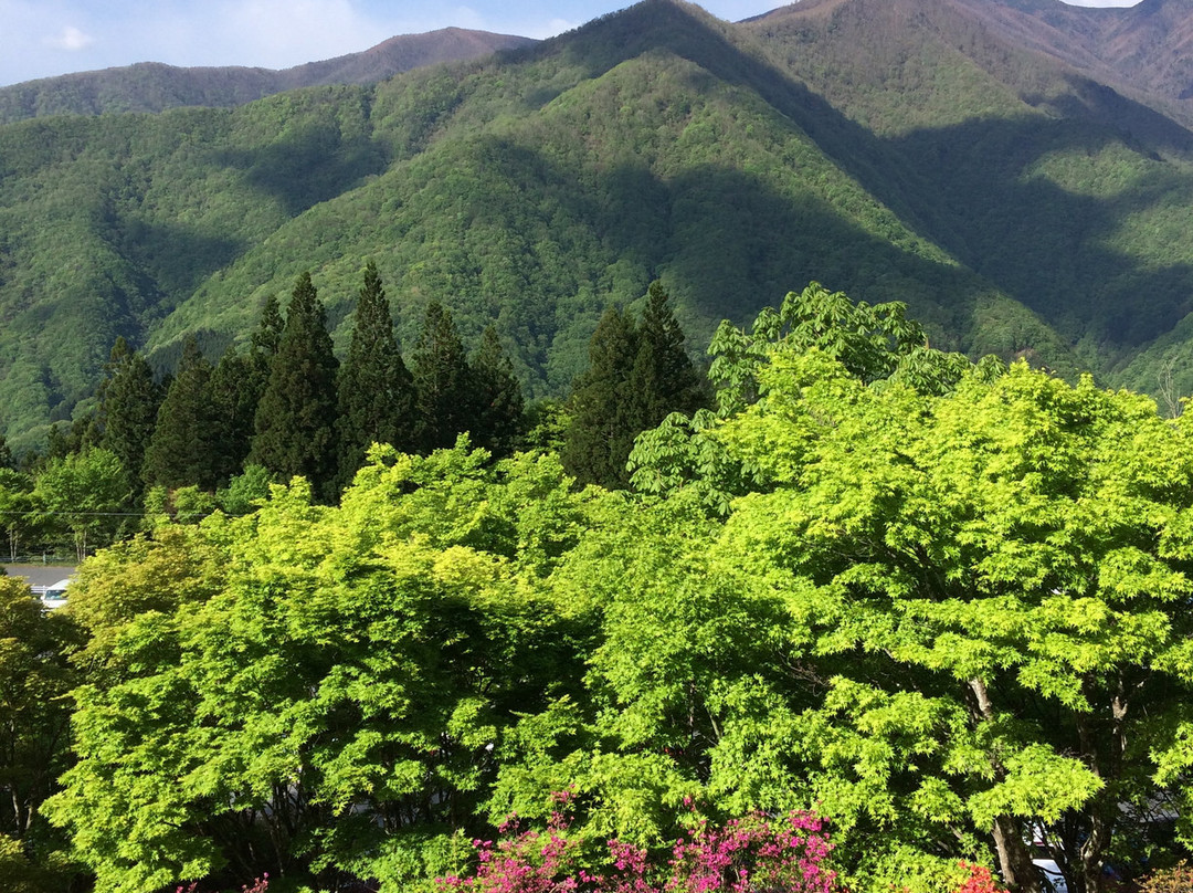 Mt. Mitsumine