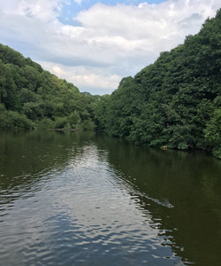 Jumbles Country Park景点门票图片