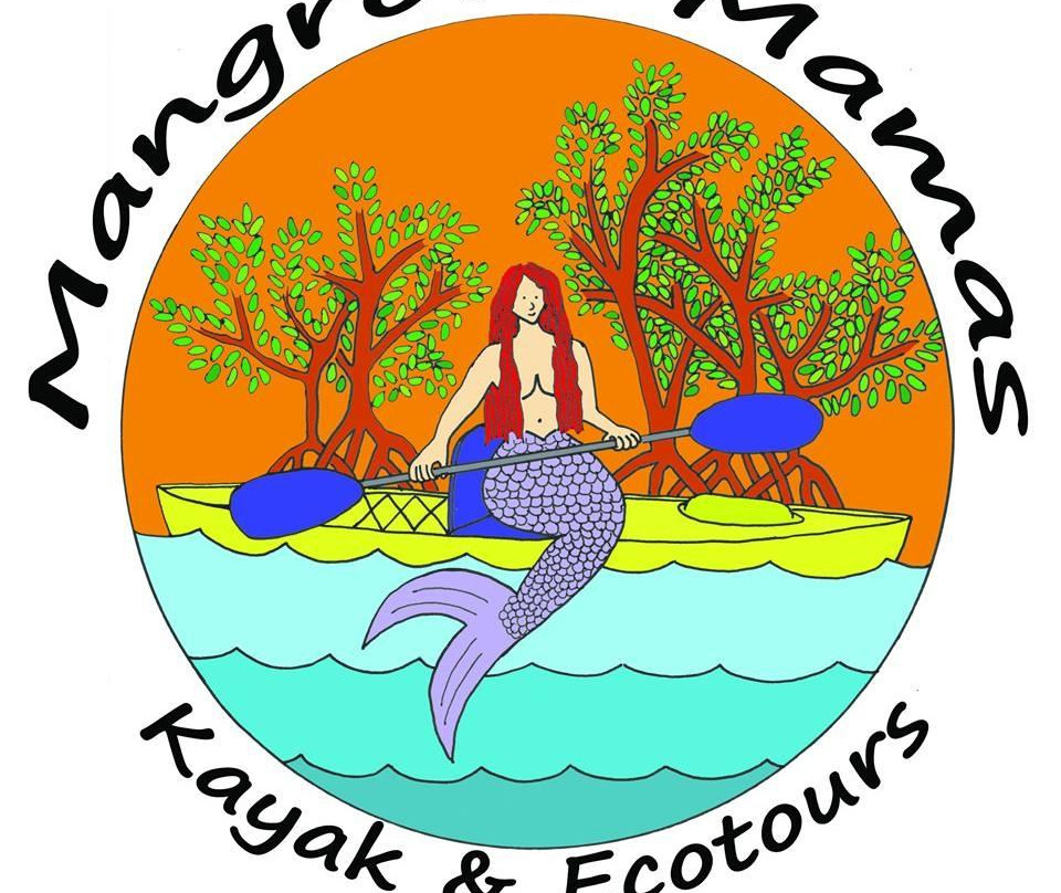 Mangrove Mamas Kayak & Ecotour景点图片