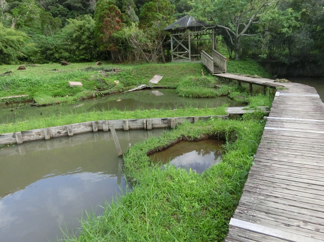 Homba Amami Oshima Tsumugi Dorozome Park-奄美市必去景点