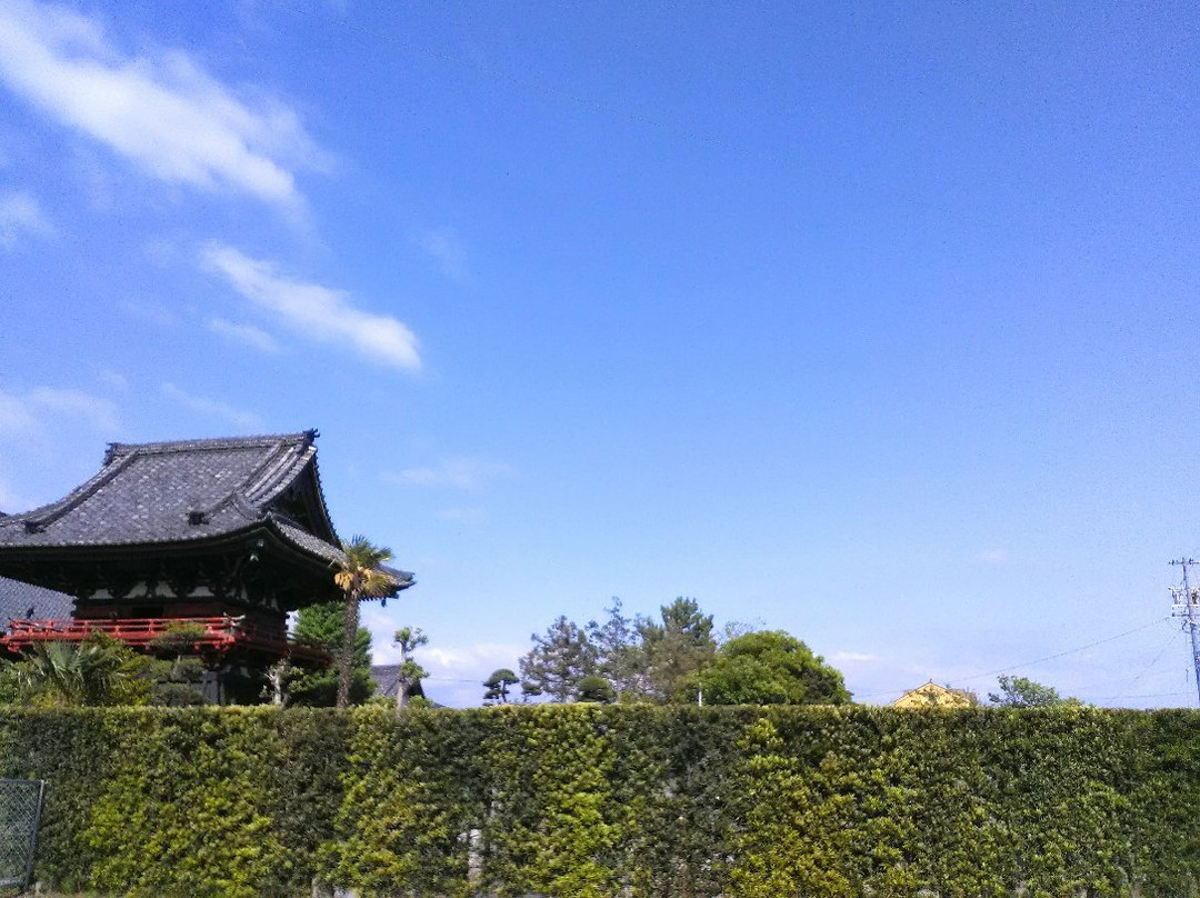 Shoro in Saifukuji Temple-西尾市必去景点