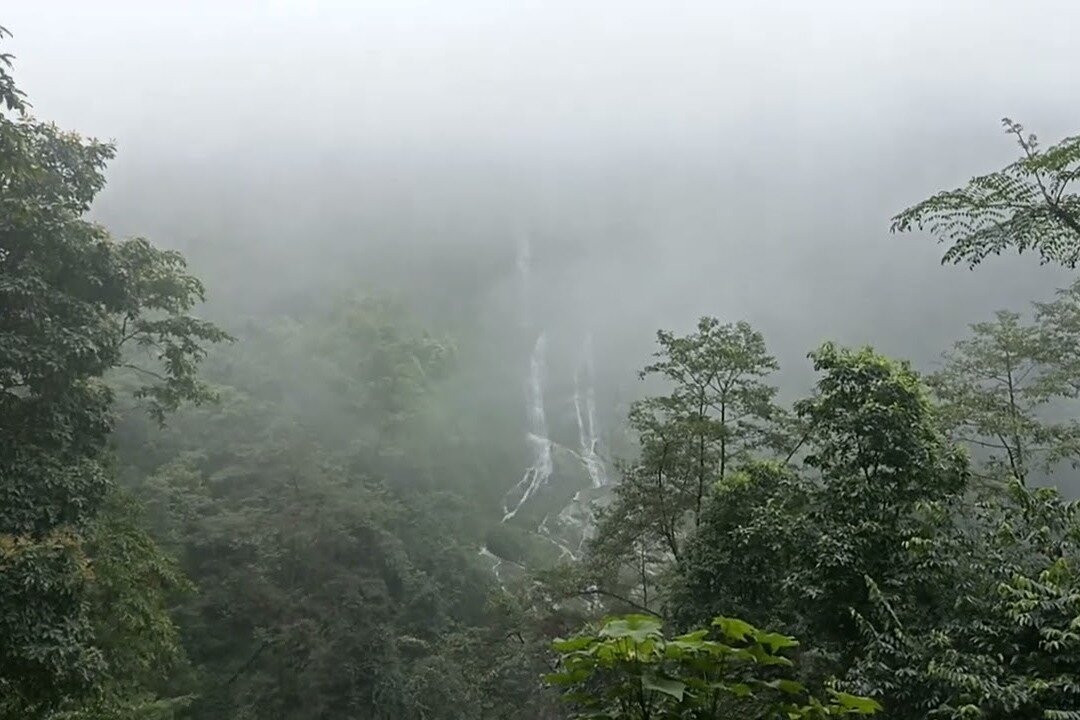 TWIGS - The Wanderlust In Guise Scouting