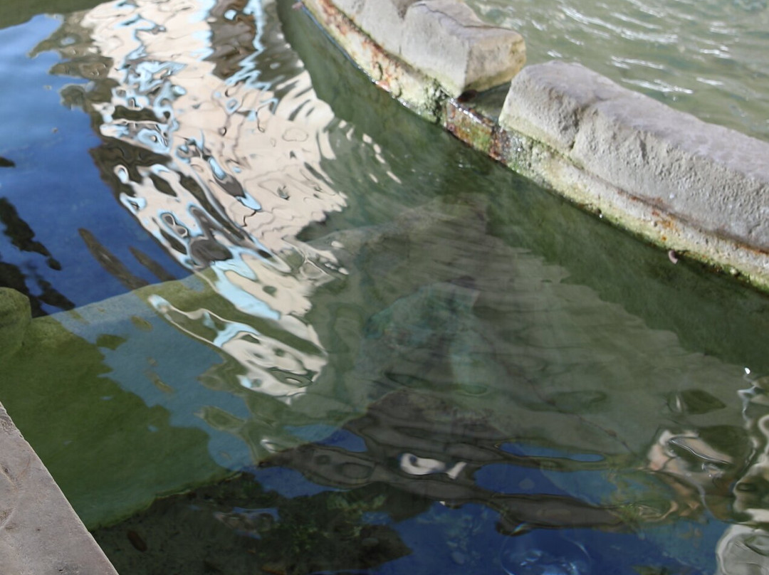 Fontaine Du Cimetière Et Lavoir景点图片