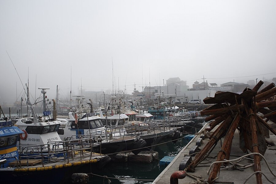 Hongwon Port-舒川郡必去景点