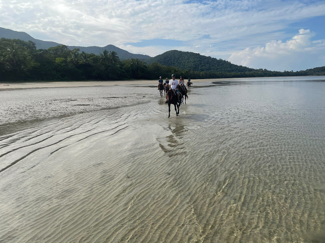 Cape Trib Horse Rides-Cape Tribulation必去景点