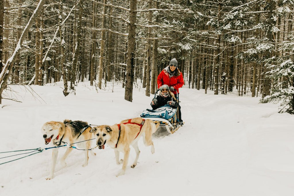 North Ridge Ranch - Dog Sledding景点图片