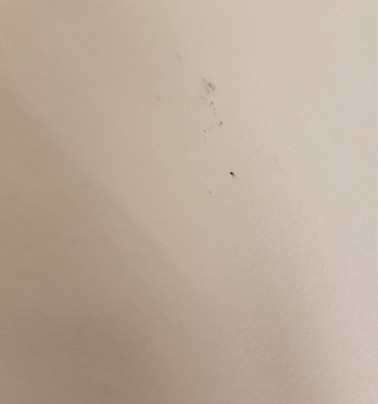 Mainely Blue Charters-南波特兰必去景点