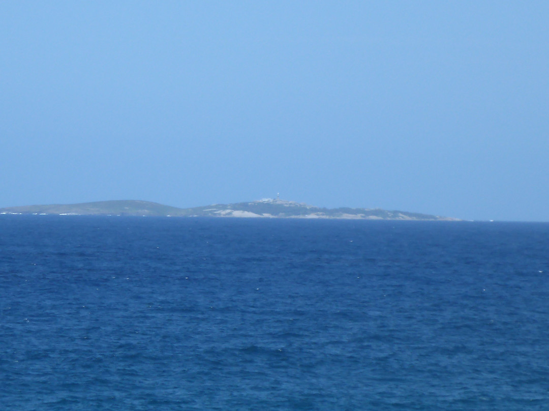 Ocean Parade Lookout Dalmeny景点图片
