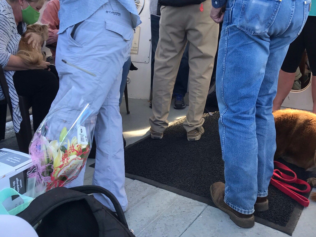 Daufuskie Island Ferry-希尔顿头岛必去景点