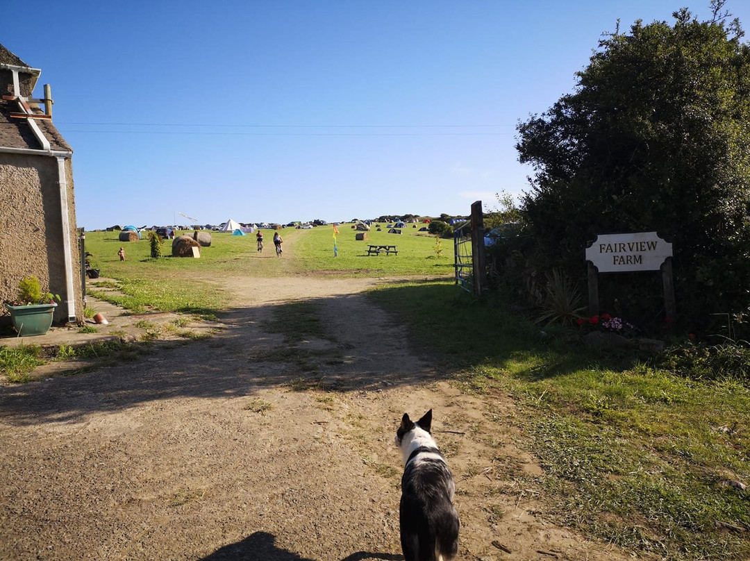 Fairview Camping