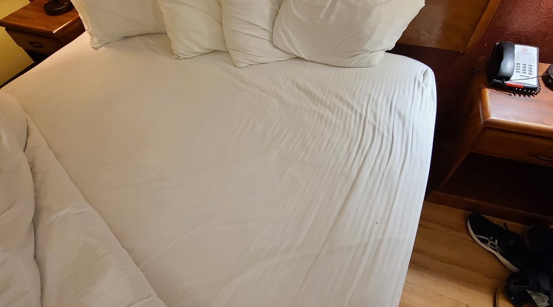 Red Roof Inn Conroe North - Willis主图