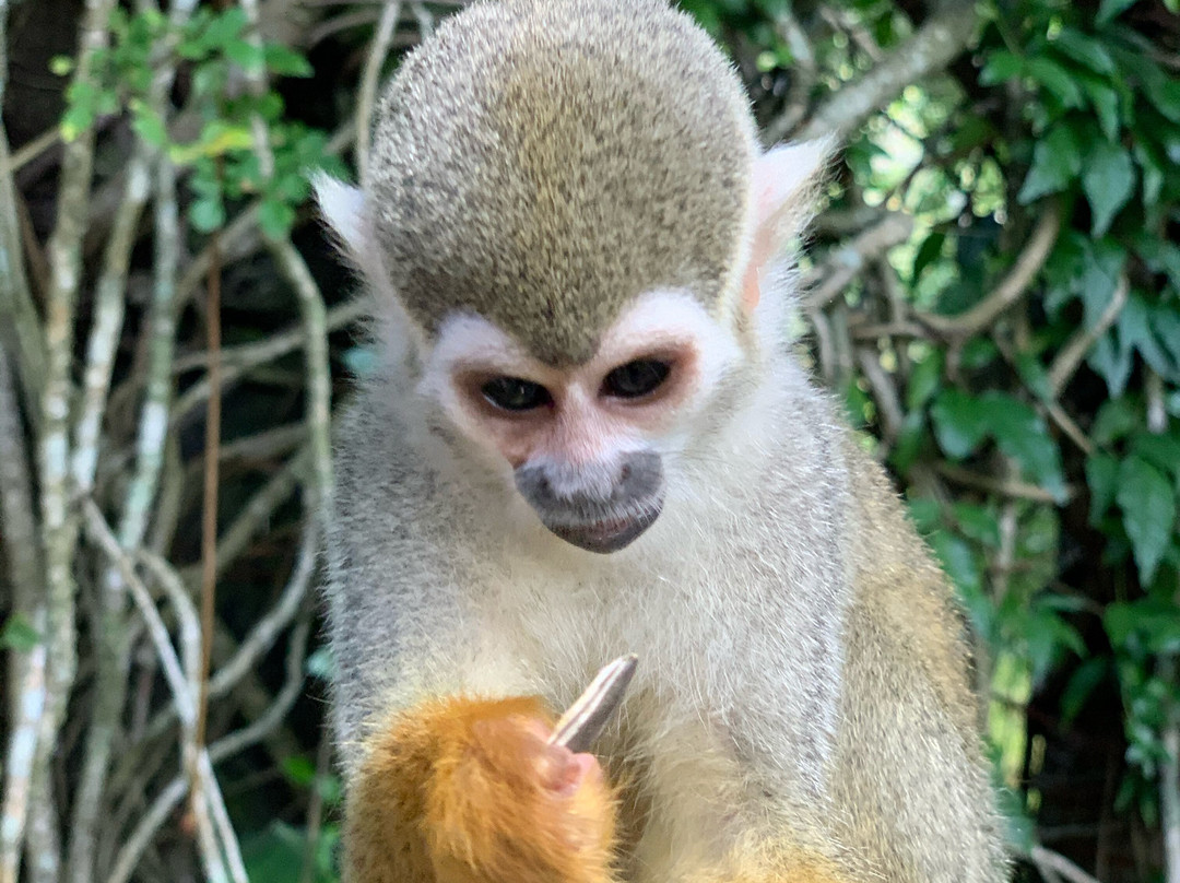 Michel Transfers And Tours-喀巴里特必去景点