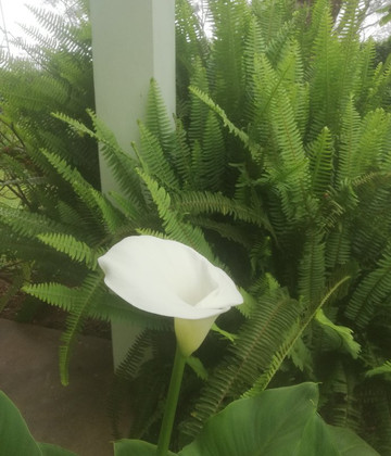 Bike Heroes Tanzania-莫西必去景点