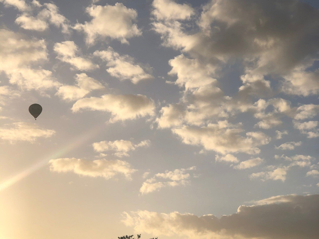 SA Encounter-开普敦中心区必去景点