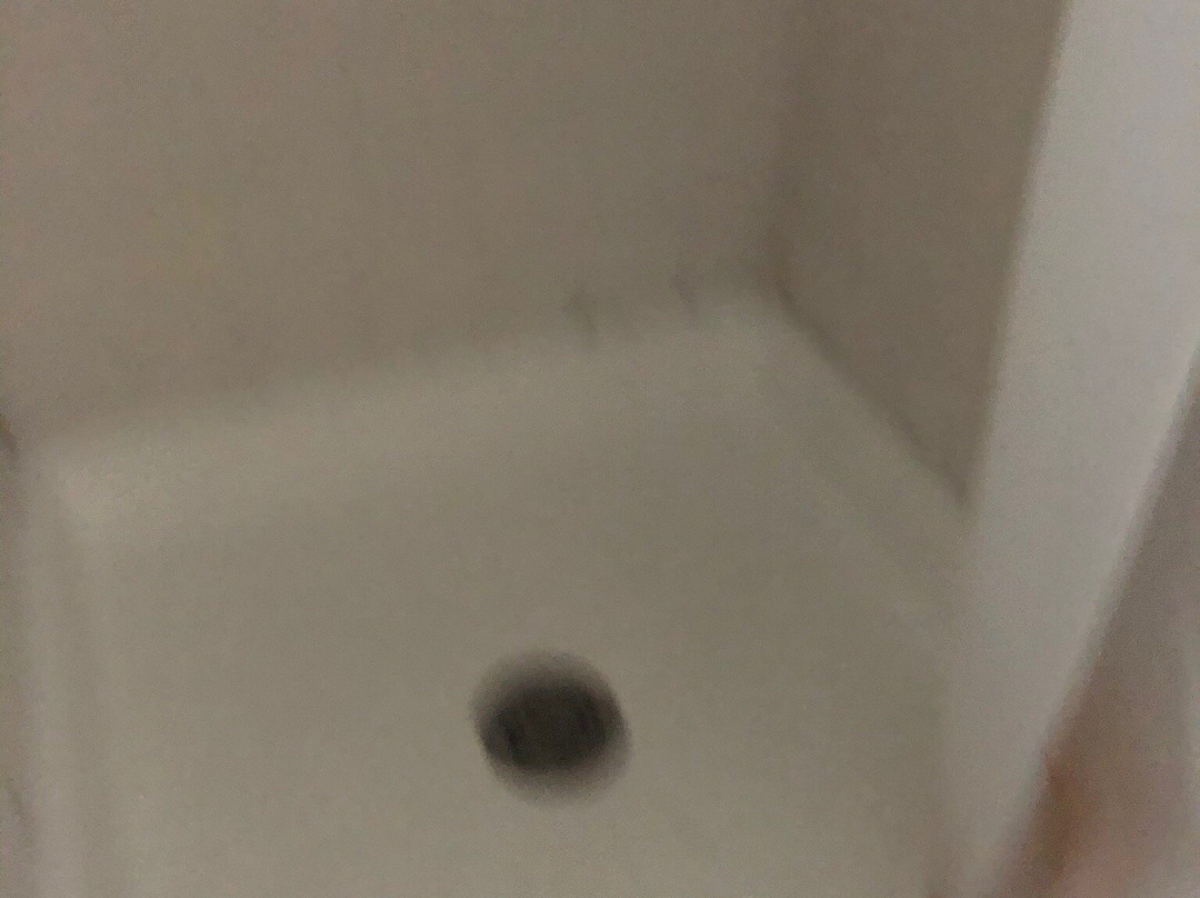 Briar Patch Bed & Breakfast Inn主图